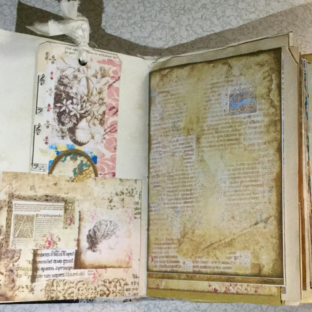 🌺 Distinct Victorian 🌸 Fractsi riella Journal 💮